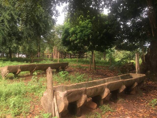 Chácara para Venda em Iporá - 4