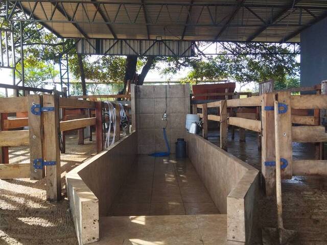 #SIGFAZ40 - Fazenda para Venda em Jaupaci - GO