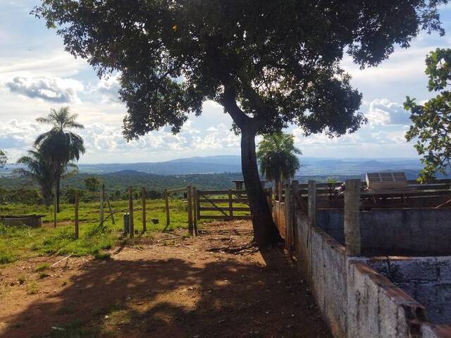#SIGFAZ40 - Fazenda para Venda em Jaupaci - GO