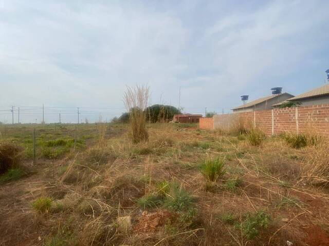 Área para Venda em Iporá - 4